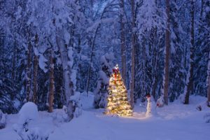 Holiday Timesharing